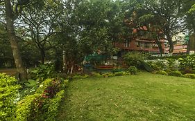 Wow Stayz2 Misty Meadows